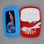 Plastic Lunch Box + Spoon & Fork