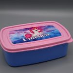 Plastic Lunch Box + Spoon & Fork