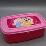 Plastic Lunch Box + Spoon & Fork